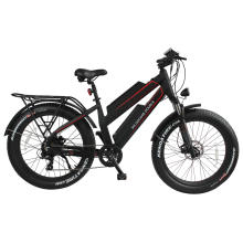 factory directly sale new design fat tire electric bike mountain